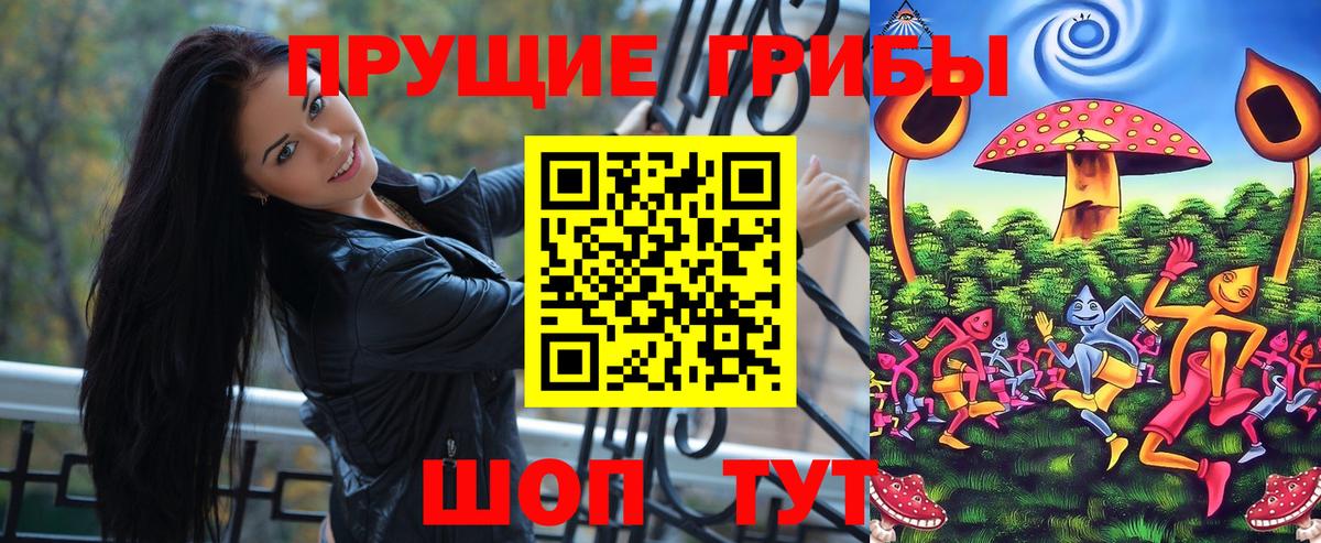 Псилоцибиновые грибы Cubensis Черкесск