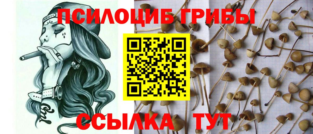 Меф Черкесск