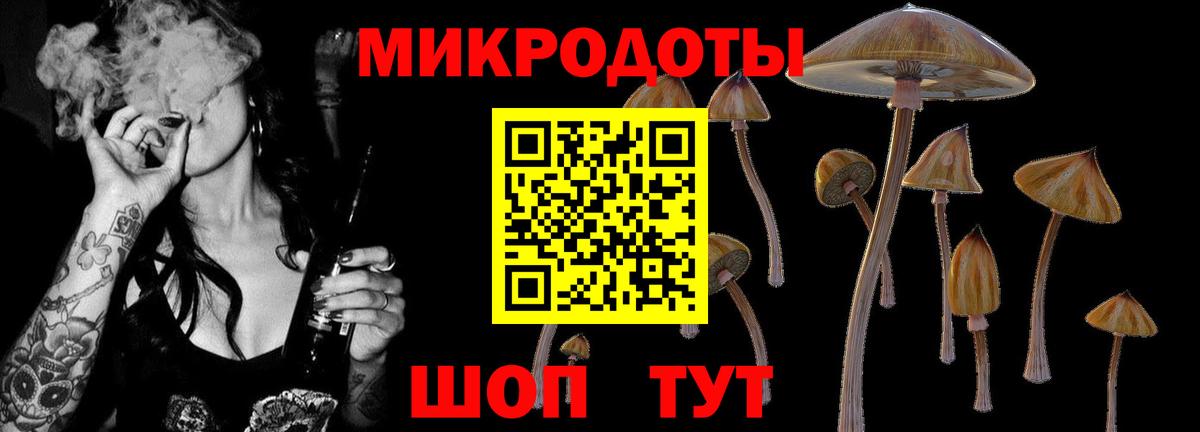 Псилоцибиновые грибы Magic Shrooms  Вход с VPN  Черкесск 