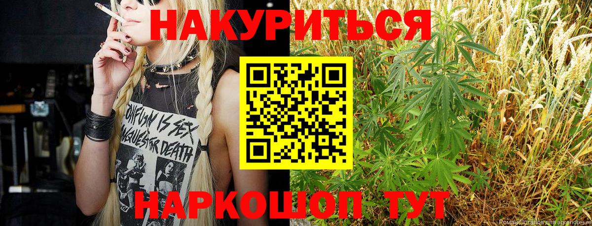 Бошки Шишки сатива Черкесск